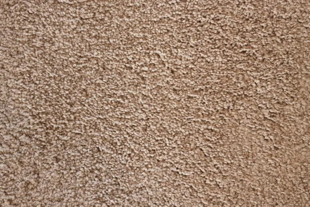 Carpet Flooring